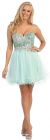 Main image of Strapless Floral Sequins Bust Tulle Short Party Prom Dress
